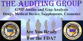 The Auditing Group